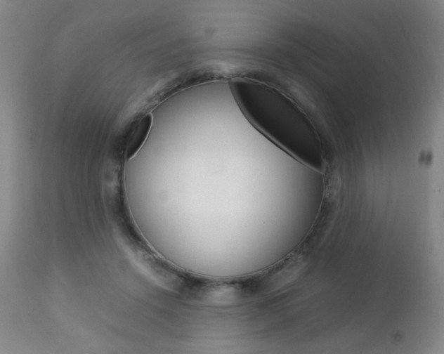 X0000112770456200908201354