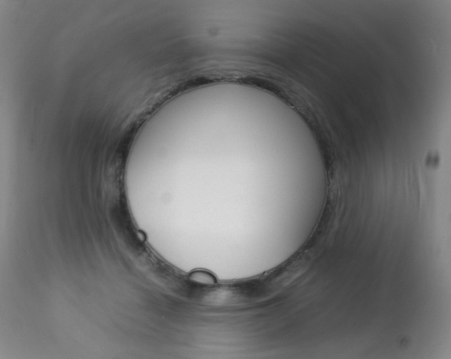 X0000112770460200908201354