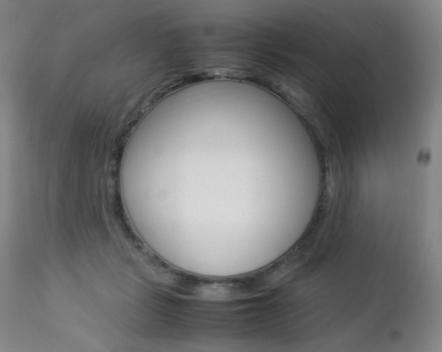 X0000112770461200908201354