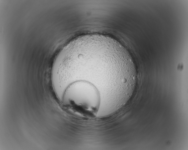 X0000112770462200908201354