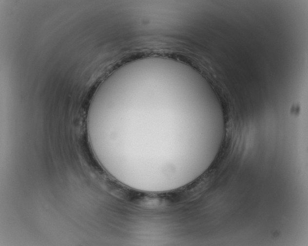 X0000112770464200908201354