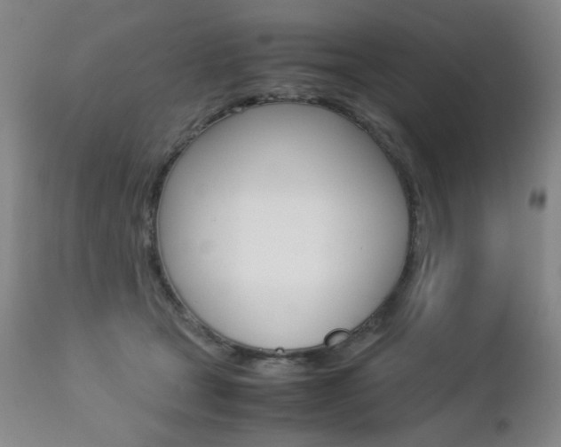 X0000112770465200908201354