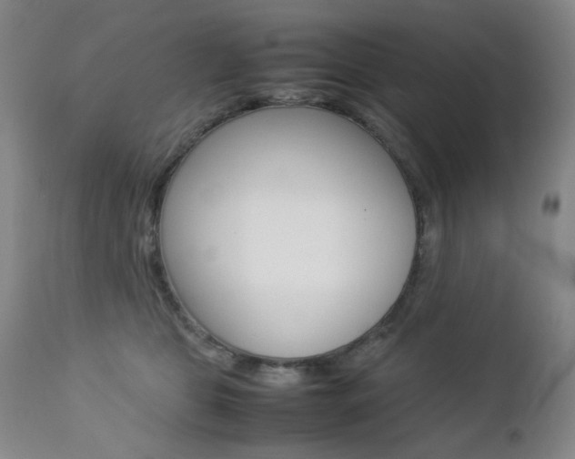 X0000112770469200908201354
