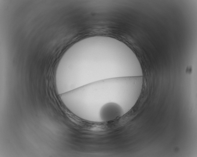 X0000112770471200908201354