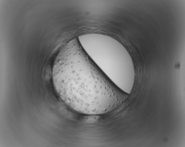 X0000112770474200908201354