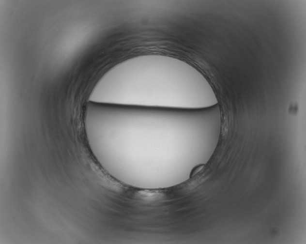 X0000112770477200908201354