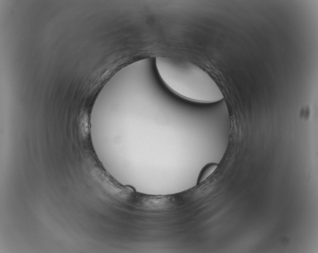 X0000112770479200908201354