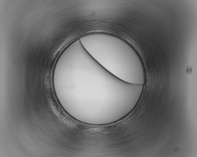 X0000112770482200908201353