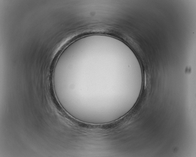 X0000112770483200908201353