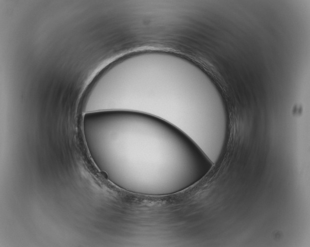 X0000112770484200908201353