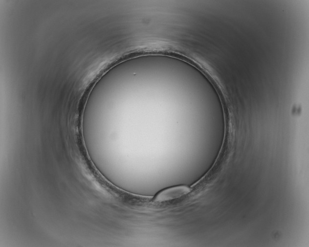 X0000112770485200908201353