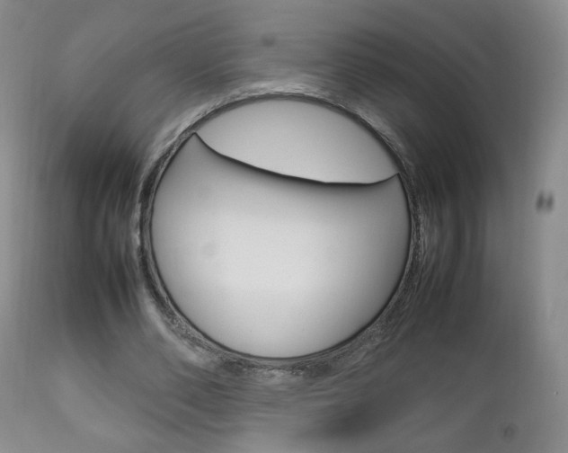 X0000112770486200908201353