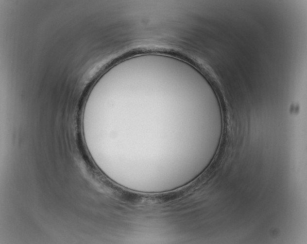 X0000112770487200908201353