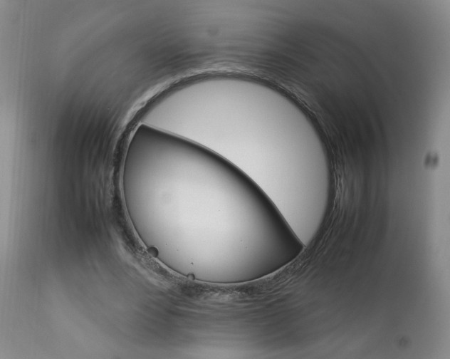X0000112770488200908201353