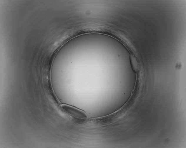 X0000112770489200908201353