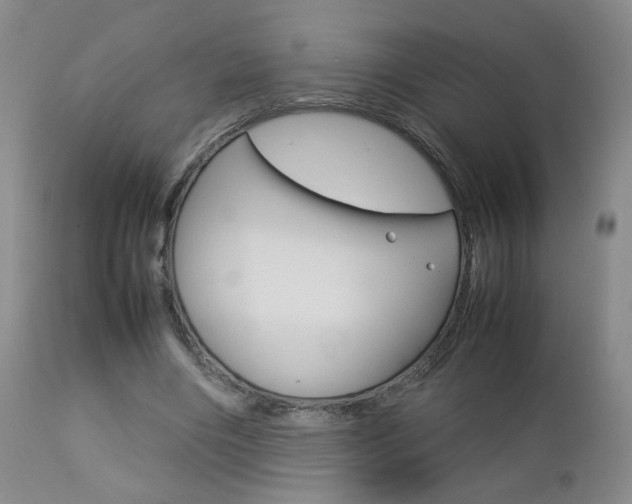 X0000112770490200908201353