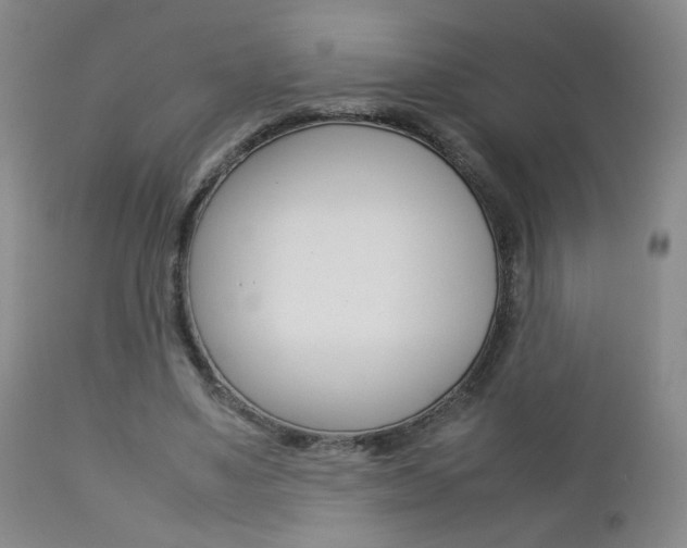 X0000112770491200908201353