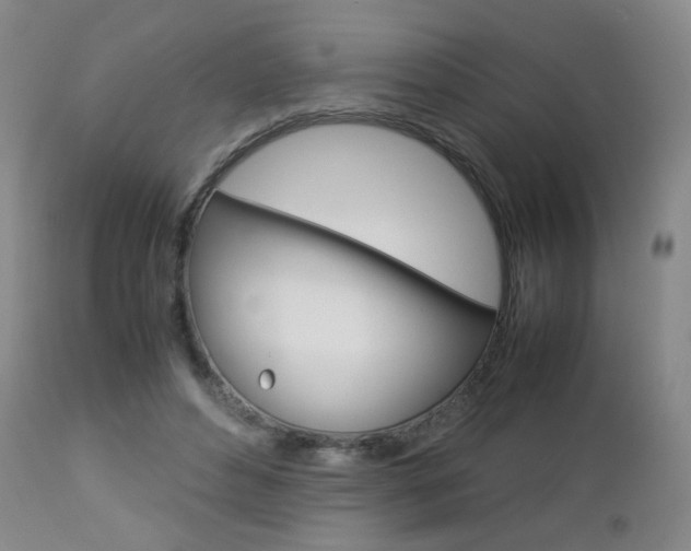 X0000112770496200908201353
