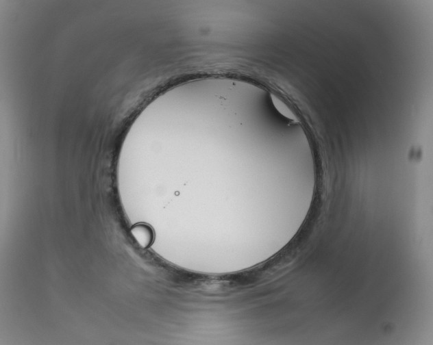 X0000112770497200908201353