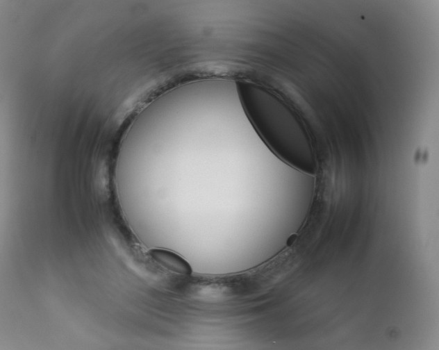X0000112770500200908201353