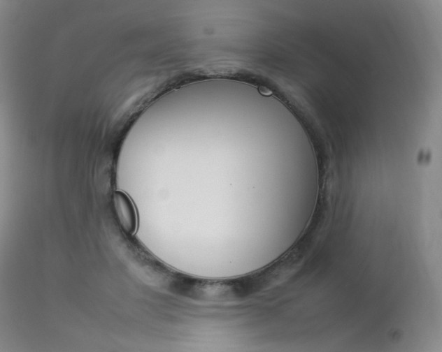X0000112770501200908201353