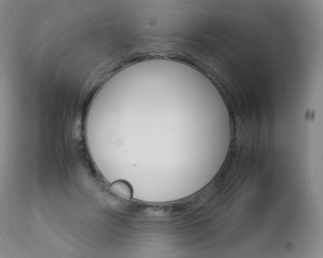 X0000112770502200908201353