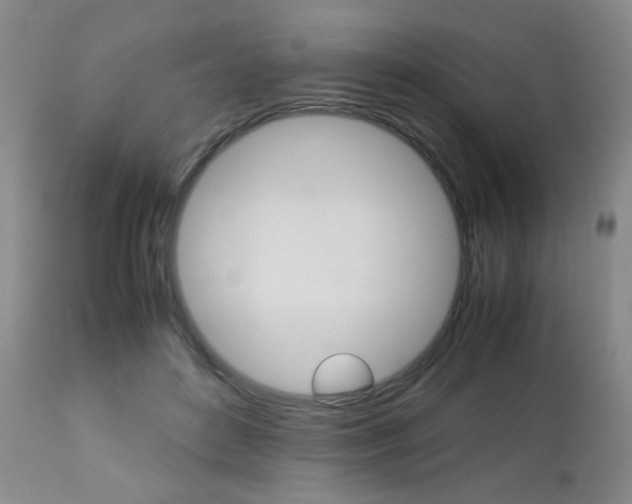 X0000112770504200908201353