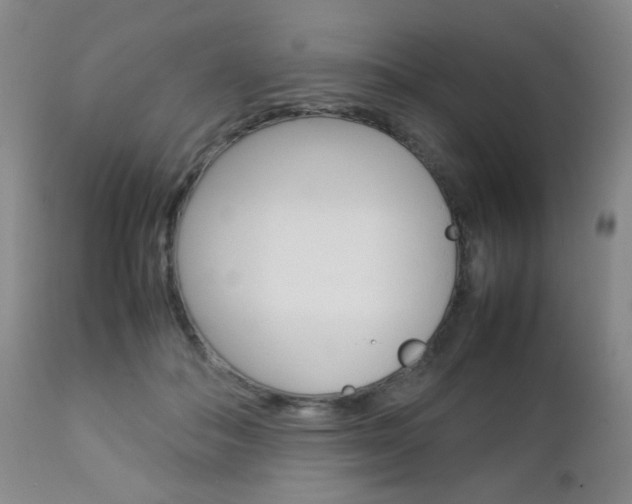 X0000112770506200908201353
