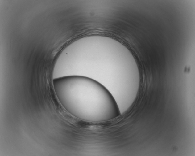 X0000112770508200908201353