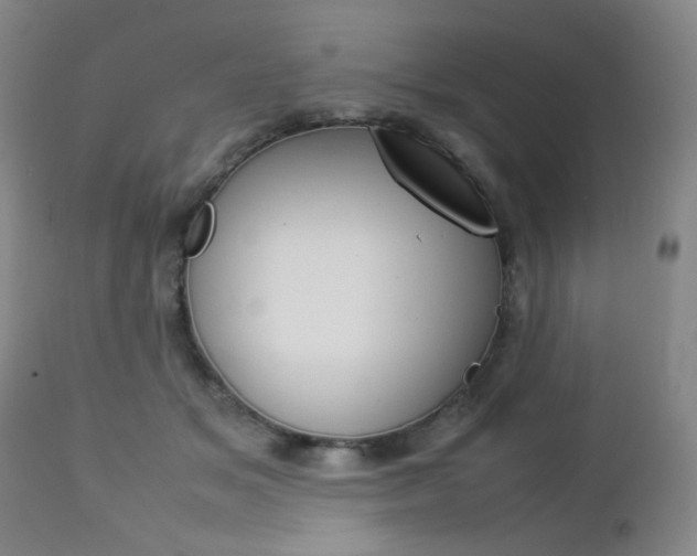 X0000112770509200908201353