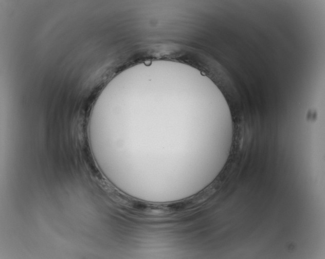 X0000112770510200908201353