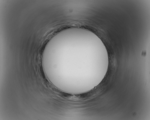 X0000112770511200908201353
