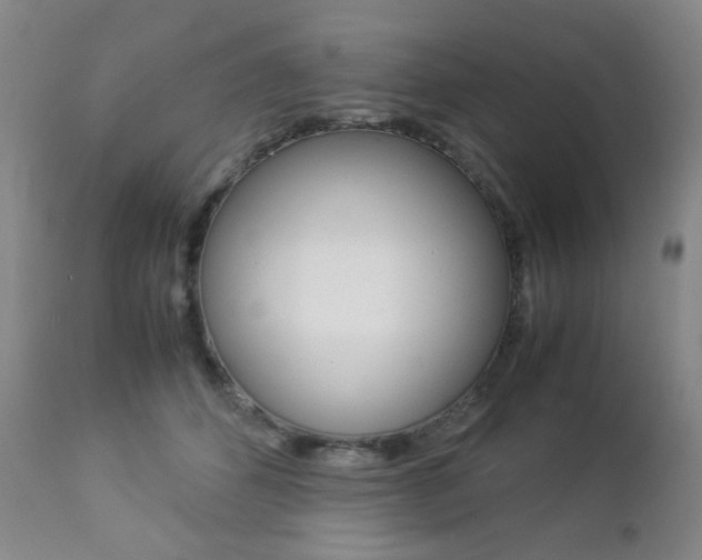 X0000112770512200908201353