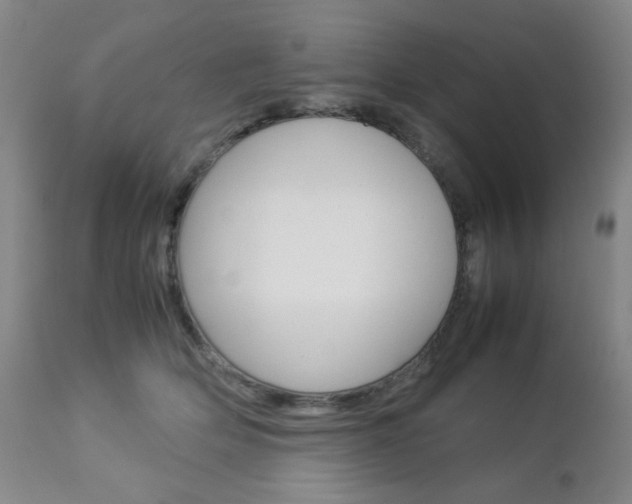 X0000112770514200908201353