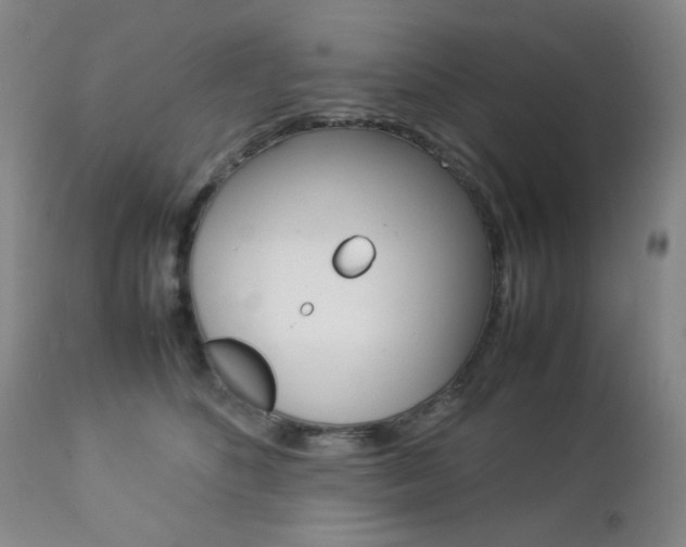 X0000112770516200908201353
