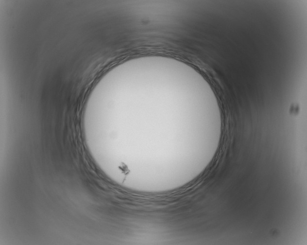 X0000112770517200908201353
