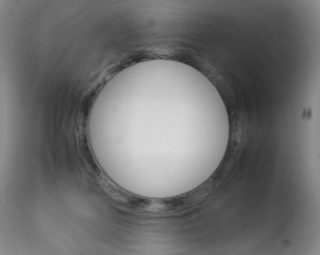 X0000112770518200908201353