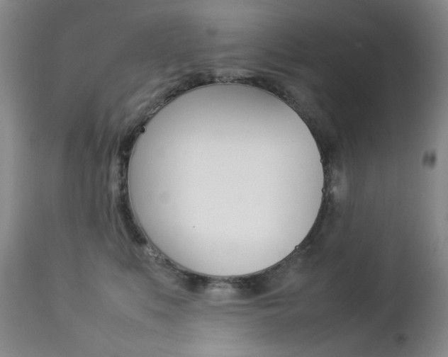 X0000112770519200908201353