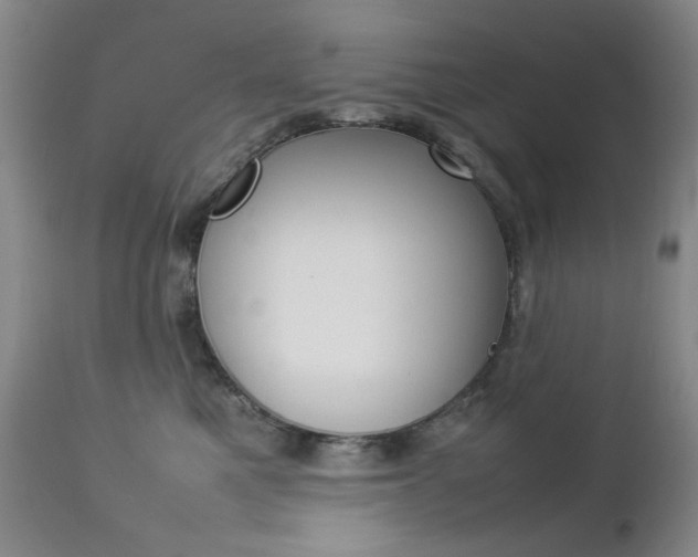 X0000112770521200908201353