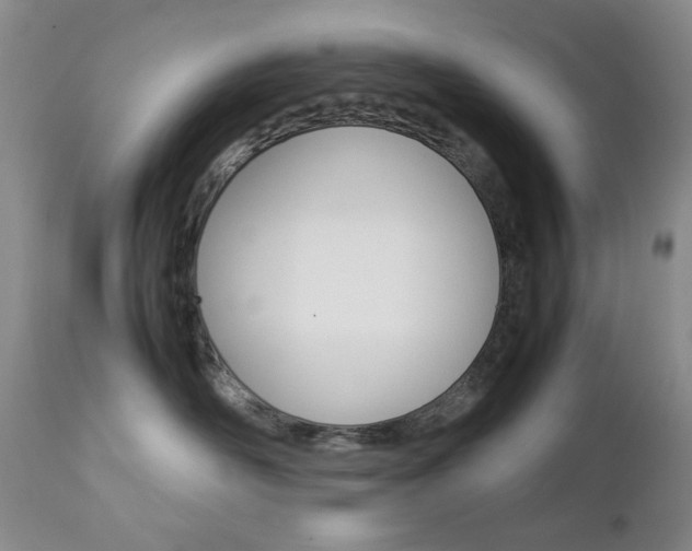 X0000112770526200908201353