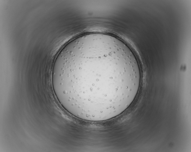 X0000112770529200908201352