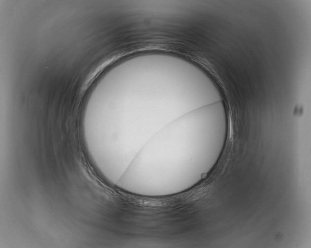 X0000112770531200908201352