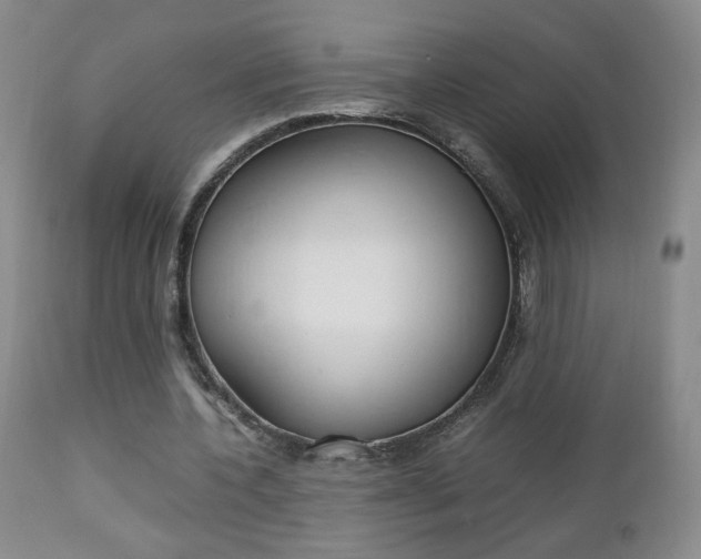 X0000112770532200908201352