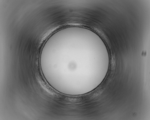 X0000112770533200908201352