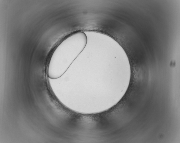 X0000112770534200908201352