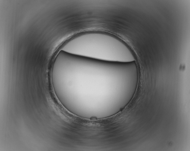 X0000112770535200908201352