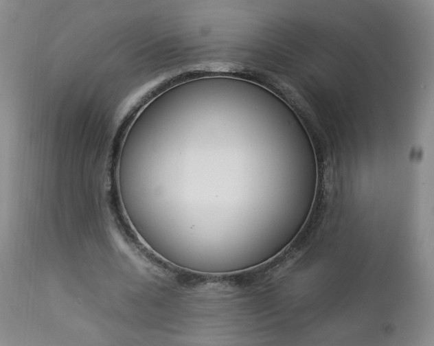 X0000112770536200908201352