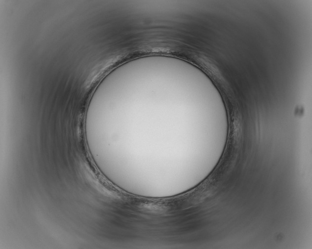X0000112770537200908201352