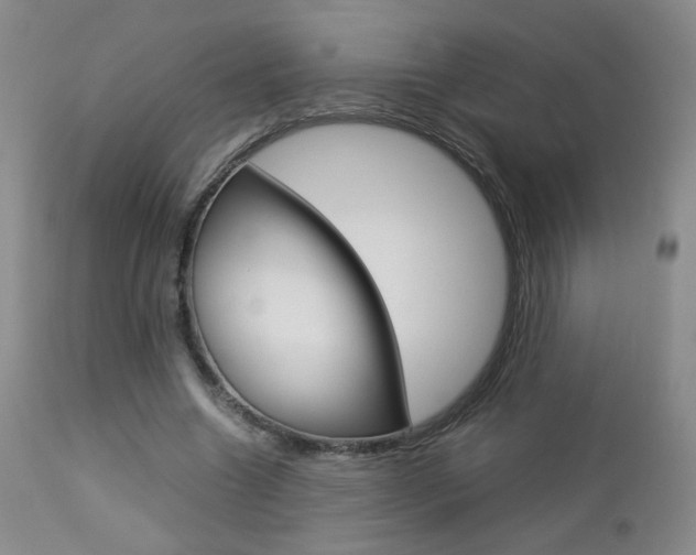 X0000112770538200908201352