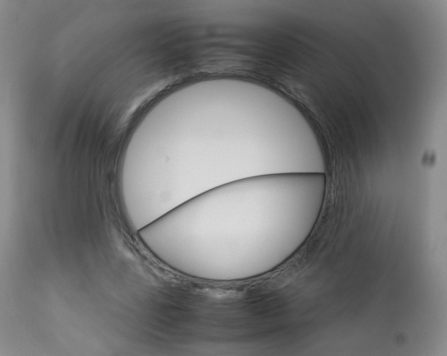 X0000112770539200908201352